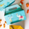 Picture of Carry Handle Boxes