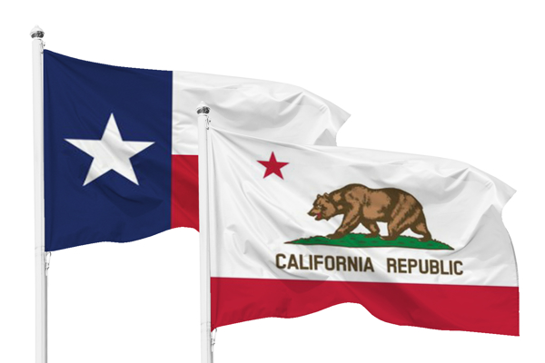 Picture for category State Flags