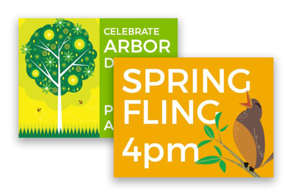 Picture for category Spring