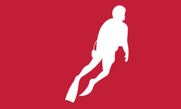Picture of 3ft x 5ft - Standard Flag - Sports - 05