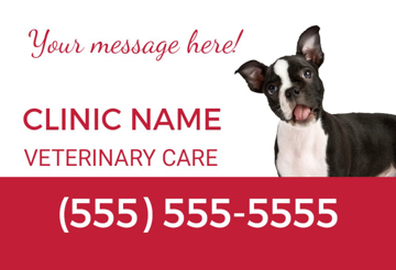 Picture of 12" x 18" - Car Magnet - Pet Care - 06