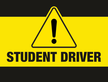 Picture of 18" x 24" - Car Magnet - Student Driver - 03