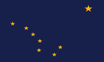 Picture of 3ft x 5ft - Standard Flag - State Flag - 02