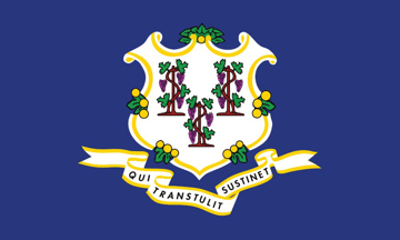 Picture of 3ft x 5ft - Standard Flag - State Flag - 09