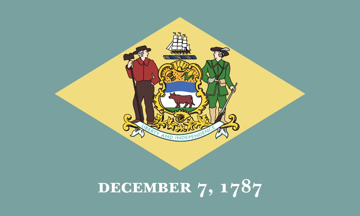 Picture of 3ft x 5ft - Standard Flag - State Flag - 10