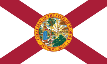 Picture of 3ft x 5ft - Standard Flag - State Flag - 11