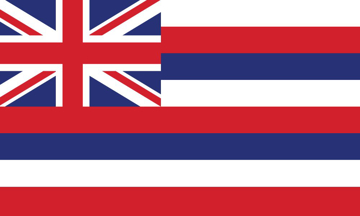 Picture of 3ft x 5ft - Standard Flag - State Flag - 13