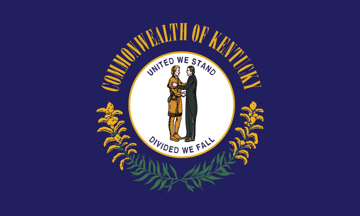 Picture of 3ft x 5ft - Standard Flag - State Flag - 19