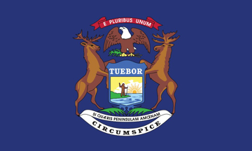 Picture of 3ft x 5ft - Standard Flag - State Flag - 24