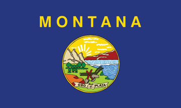 Picture of 3ft x 5ft - Standard Flag - State Flag - 27