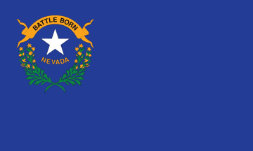 Picture of 3ft x 5ft - Standard Flag - State Flag - 29