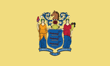 Picture of 3ft x 5ft - Standard Flag - State Flag - 31