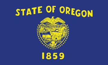 Picture of 3ft x 5ft - Standard Flag - State Flag - 38