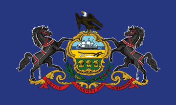 Picture of 3ft x 5ft - Standard Flag - State Flag - 39