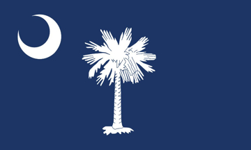 Picture of 3ft x 5ft - Standard Flag - State Flag - 41
