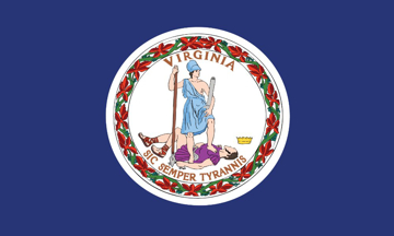 Picture of 3ft x 5ft - Standard Flag - State Flag - 46