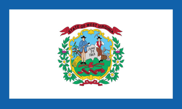 Picture of 3ft x 5ft - Standard Flag - State Flag - 49