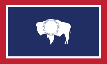 Picture of 3ft x 5ft - Standard Flag - State Flag - 51