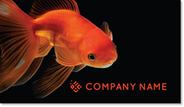 Picture of Animals & Pet Care Business Card 2