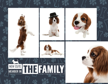 Picture of Photos 10  - Horizontal - Postcard Magnet